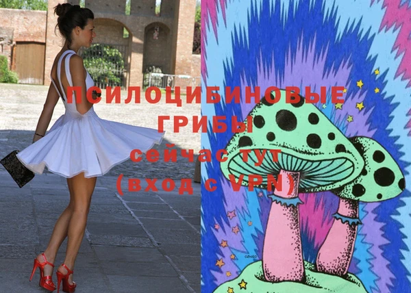 спиды Алексеевка