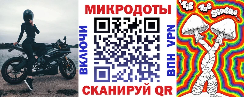хочу наркоту  Устюжна  Псилоцибиновые грибы Psilocybine cubensis 